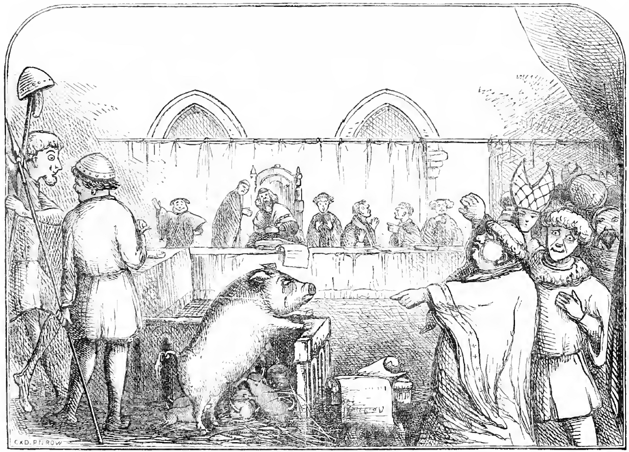 Une truie et ses porcelets jugés pour meurtre, illustration du Book of Days