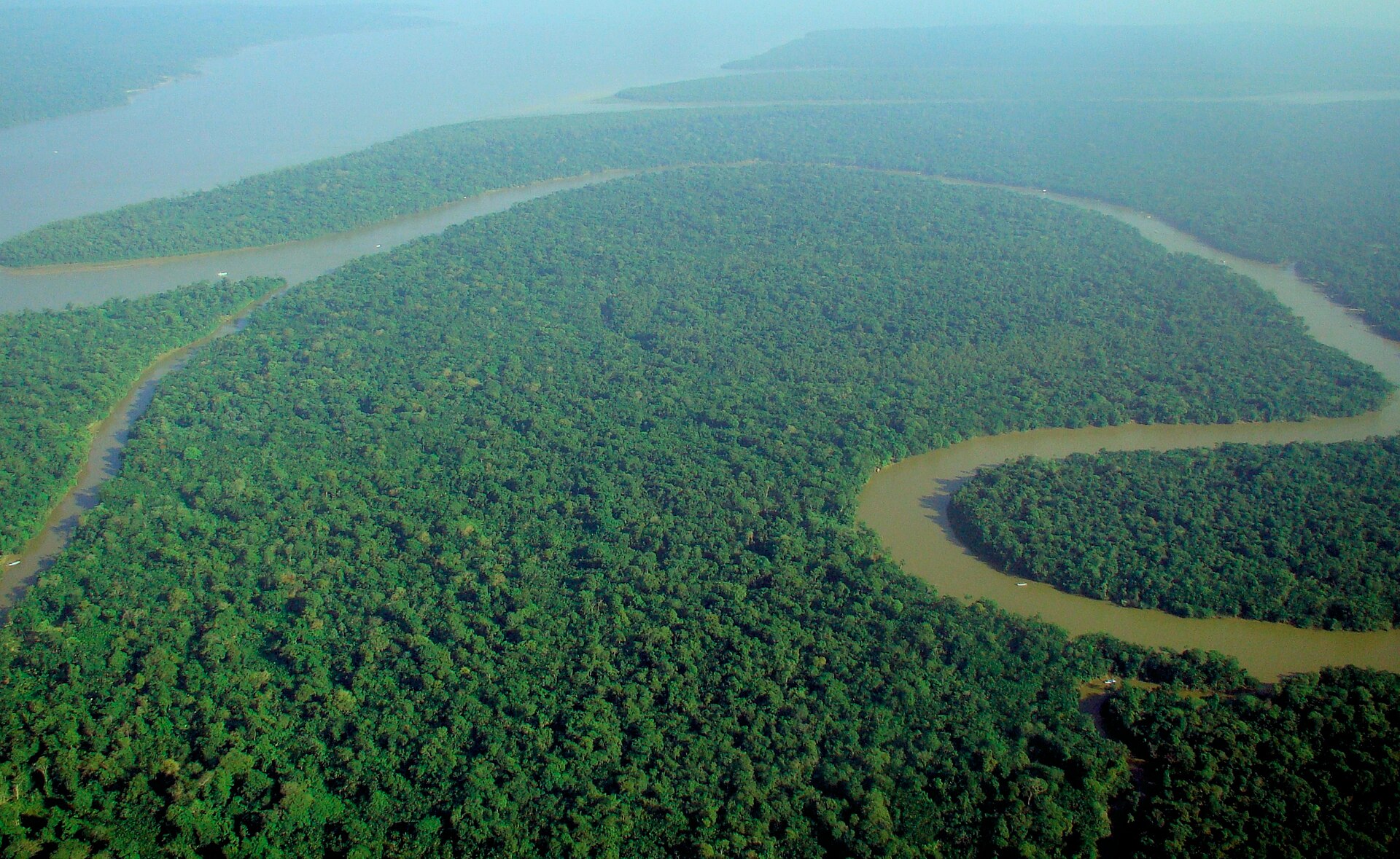 L'Amazone et la forêt vus du ciel