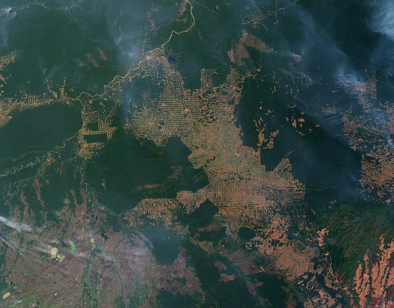 Feux et déboisement sur le front pionnier du Rondônia