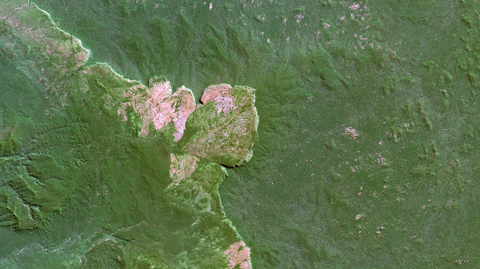 Le territoire indigène Uru-Eu-Wau-Wau, au Rondônia