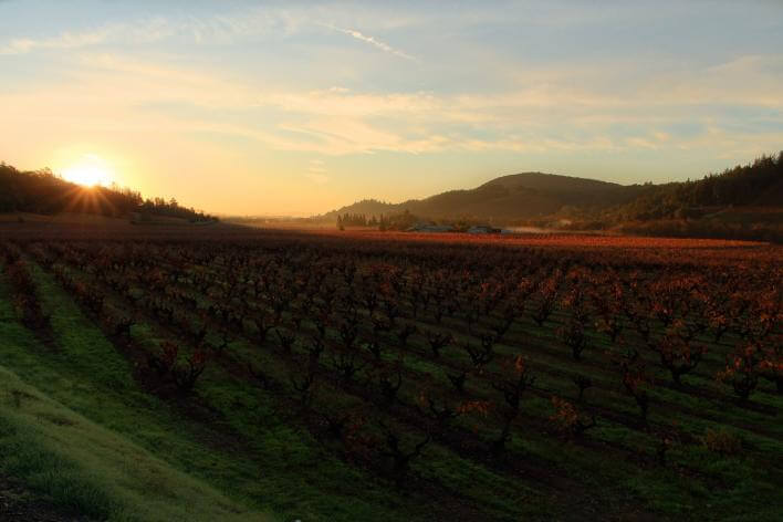 Les vignobles de Dry Creek Valley au coucher du soleil