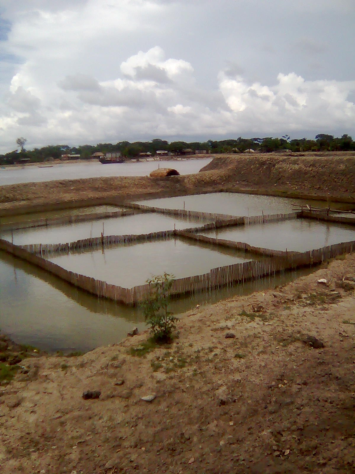 Des bassins d'élevage de crevettes près de Khulna