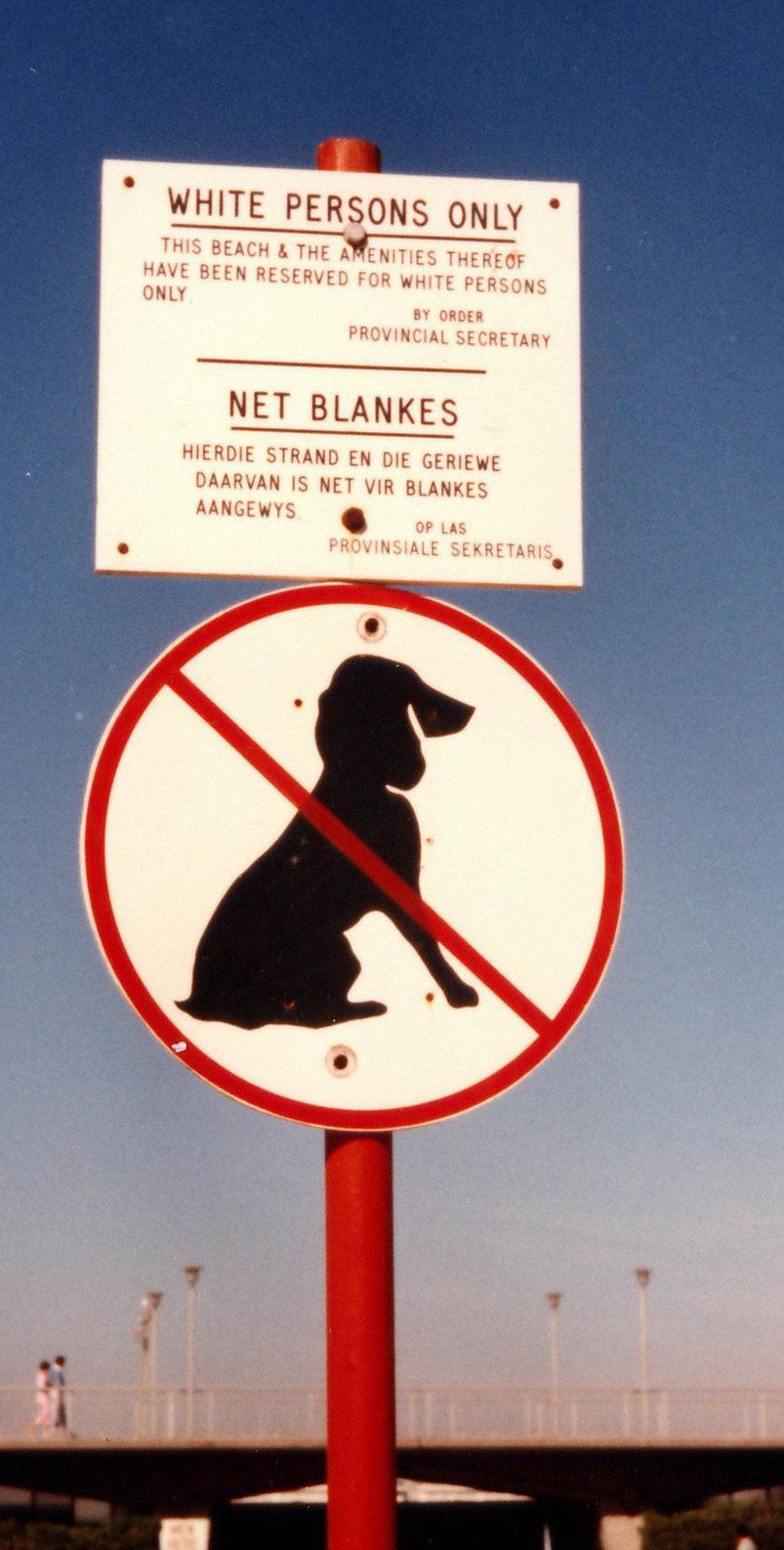 Un panneau de plage réservée, en anglais et en afrikaans